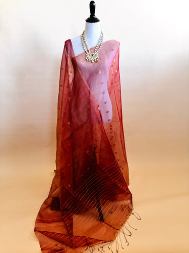 Nia - ShopNaya Exclusive | Handwoven | Silk Organza | Metallic Colors | Gold Zari | Ships from California
